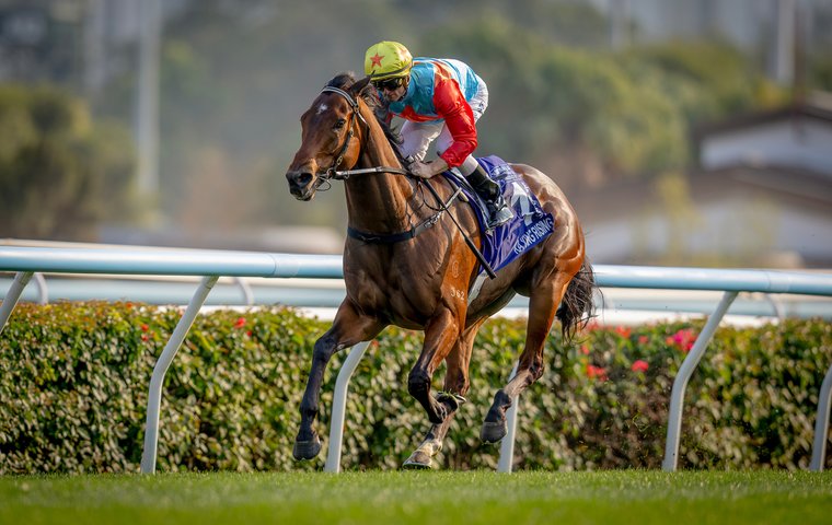 Our record-breaking table topper