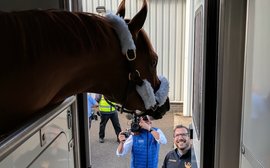 ‘The video of the new Belmont Park gave me goosebumps’ – Bucchero’s timely move to New York set to pay dividends