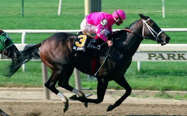 ‘The hot-blooded colt from Ireland’ – Jay Hovdey on In Excess