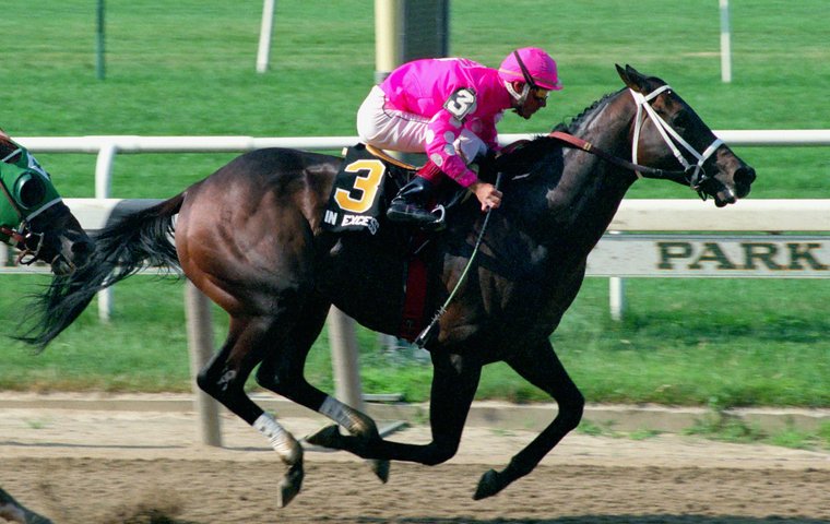 ‘The hot-blooded colt from Ireland’ – Jay Hovdey on In Excess