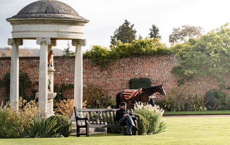 Sale Preview: Tattersalls February Sale