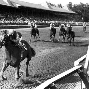 Unforgettable Alydar: remembering one of the true greats | Topics ...