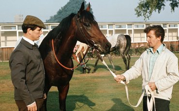 What’s been happening: Racing mourns Ian Balding and Diane Crump – plus news on Forever Young and Frankie Dettori