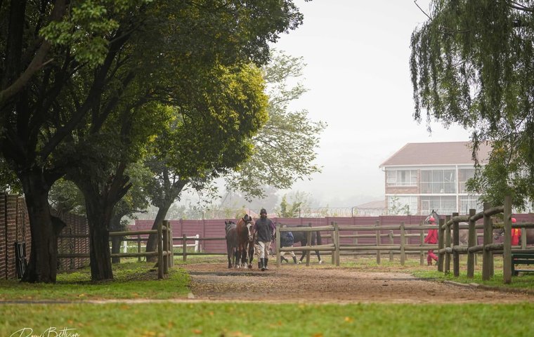 Sale Preview: BSA National Yearling Sale