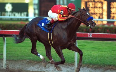 ‘A runner from the start’ – Jay Hovdey on Captain Steve