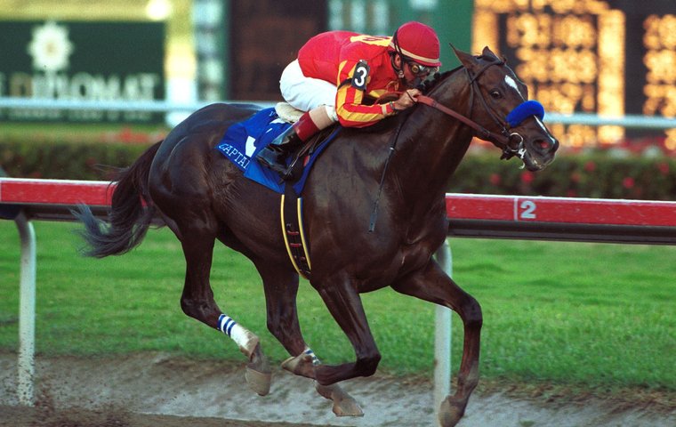 ‘A runner from the start’ – Jay Hovdey on Captain Steve