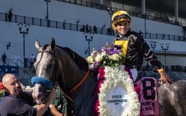 ‘We feel like it would be a lot to ask of him’ – Chad Summers on a Breeders’ Cup no-go for star juvenile Napoleon Solo