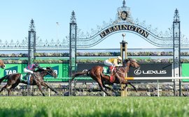 The times they are a-changin’ but this is still the race that stops a nation – JA McGrath on the Melbourne Cup