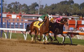 ‘Let’s get wild again!’ Triumph and controversy – remembering the inaugural Breeders’ Cup Classic 40 years on