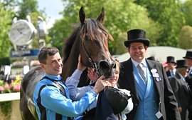 What’s been happening: Royal Ascot news – Asfoora set for Breeders’ Cup, Aidan O’Brien, Auguste Rodin and more …