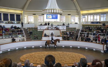Tattersalls ensures support for horses in new guises