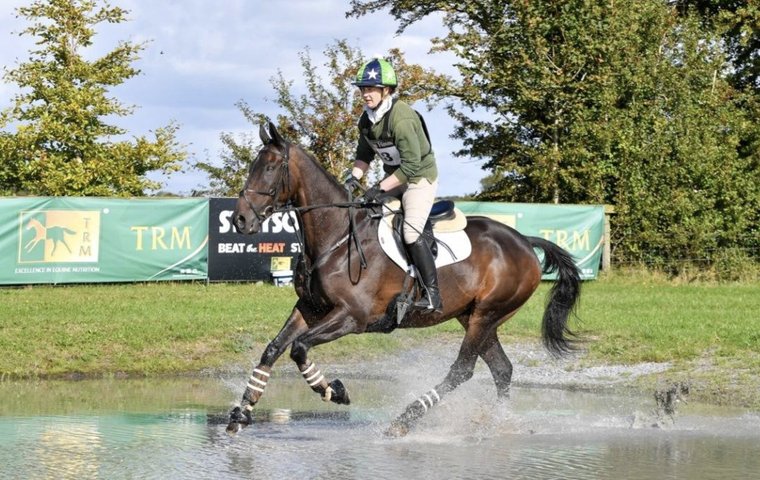 Al Boum booming in second career