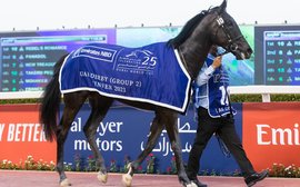 Spotlight on the globetrotting gladiator Rebel’s Romance