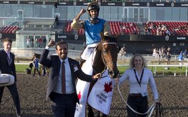‘To put Qatar in the international spotlight was the important thing’ – focus on the team behind Woodbine winner Silawi