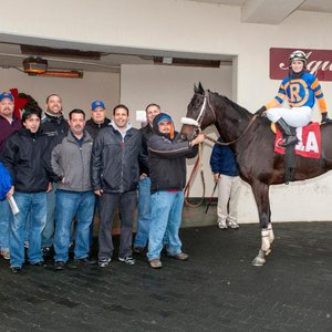 ‘He has his forever home’ – beloved stakes veteran Digger enjoys ...