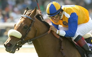 The Tin Man: ‘The only difference was, this tin man was made of nothing but heart’ – Jay Hovdey on a beloved turf veteran