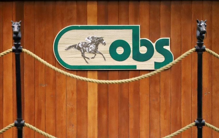 Sale Preview: OBS Spring Two-Year-Olds in Training Sale