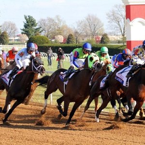 These 2-year-old races are the first major step towards solving America ...