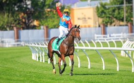 ‘He’s a special horse’ – Ka Ying Rising confirms world #1 status with brilliant Everest win
