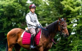 What’s been happening: Gerald Mosse retires, Belmont rematch in Haskell, Perry Ouzts record and more …