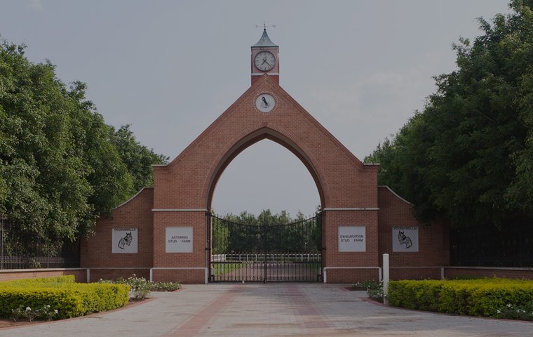 Assessing the health of India’s bloodstock industry