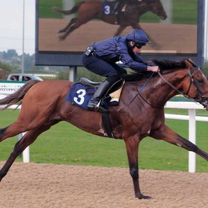 The big Breeders’ Cup question: can City Of Troy win the Classic on the dirt? | Topics: Jerry Bailey, Nick Luck, City Of Troy, Breeders’ Cup, Breeders’ Cup Classic | Thoroughbred Racing Commentary