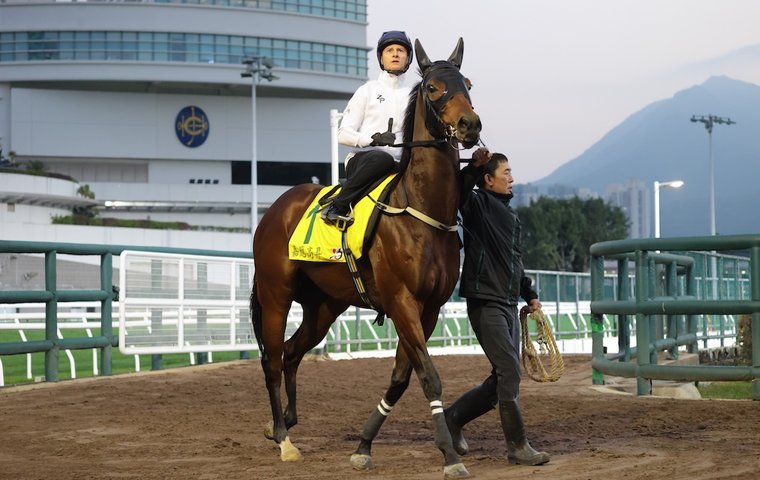 ‘The Ka Ying Rising story is really only just beginning’ – JA McGrath on sprint phenomenon who climbed the Everest