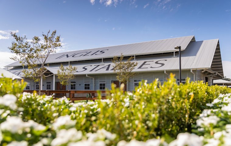 Sale Preview: Inglis Classic Yearling Sale