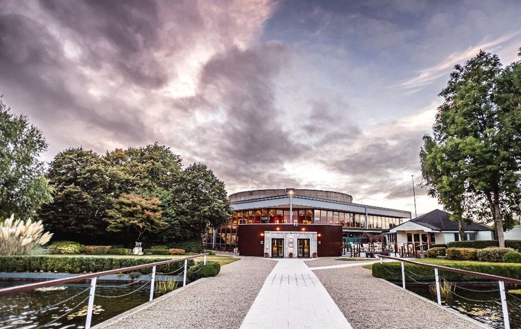 Sale Preview: Goffs February Sale