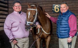 ‘Hey greenhorn, give me that horse before he kills you’ – interview with in-form trainer Shane Wilson
