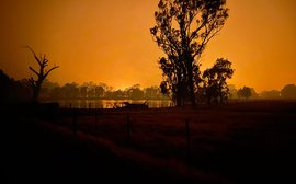Victoria burning – looking back at January’s bushfires