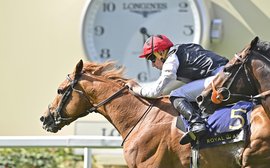 Royal Ascot: Rags-to-riches mare Caius Chorister out to deny Kyprios in Gold Cup