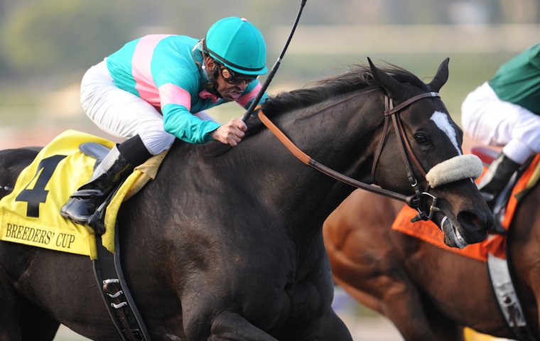 Ten (more) top horse racing pop songs: from Christy Moore (and Ruby Walsh) to Elbow and The Band