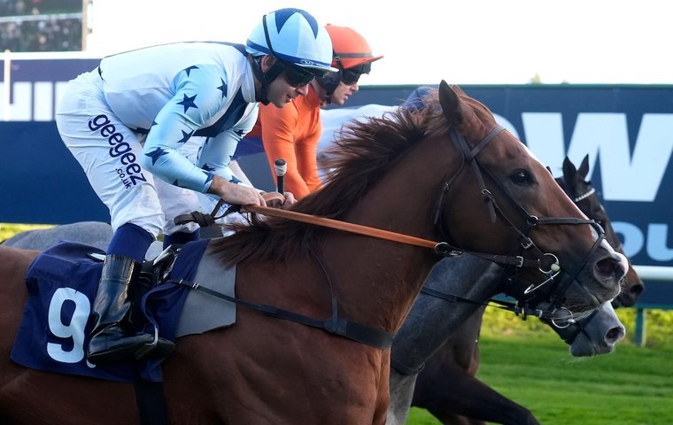 ‘He didn’t have a clue about anything’ – the story of Crowd Quake, the winningmost horse in Britain in 2025