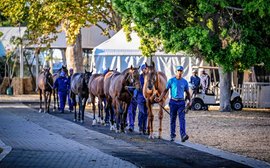 Sale Preview: Race Coast Sales Premier Yearling Sale