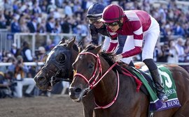 Breeders’ Cup rankings update: ‘This is like if the Japanese team won the World Cup’ – historic Classic success for Forever Young