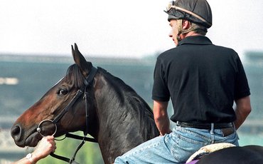 Singspiel: ‘He was special’ – Jay Hovdey on an equine giant whose exploits straddled the globe