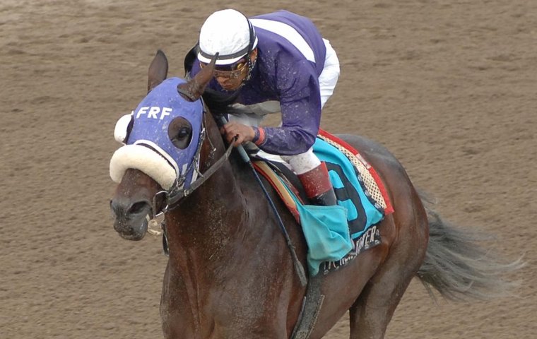 A life after racing: NY-bred millionaire Naughty New Yorker thrives as aftercare ambassador