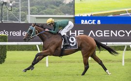 Sheza Alibi... she’s a climber