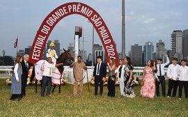 Brazilian bombshell: racing in Sao Paulo under threat as bill prohibits betting on animals