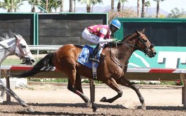 ‘This is like winning the Eclipse Award for a blue-collar horse’ – Surprsinglyperfect named claiming horse of the year