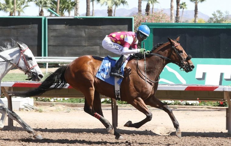 ‘This is like winning the Eclipse Award for a blue-collar horse’ – Surprsinglyperfect named claiming horse of the year