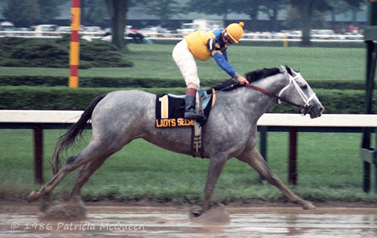 Staying power: Tracing the enduring Horse of the Year connection to Secretariat’s name