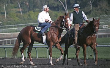 How Secretariat’s offspring contributed to the fabled career of D. Wayne Lukas