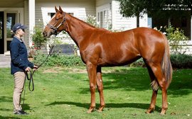 Writing her way into New Zealand racing history