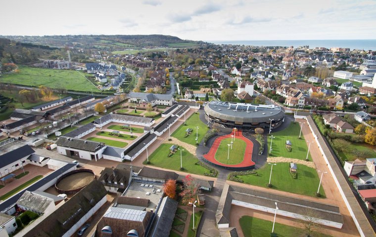 Sale Preview: ARQANA February Mixed Sale