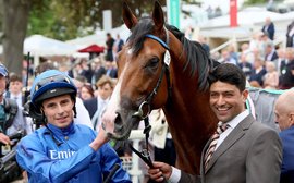 How to bet British Champions Day: Why it ought to be Ombudsman at Ascot