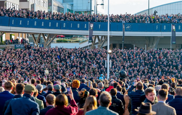Cheltenham Festival 2026: Champion Day