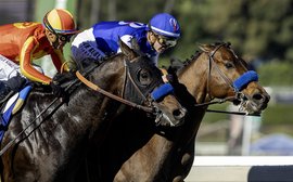 Saudi Cup likely for Nysos after Breeders’ Cup winner hits world top ten with another gutsy display