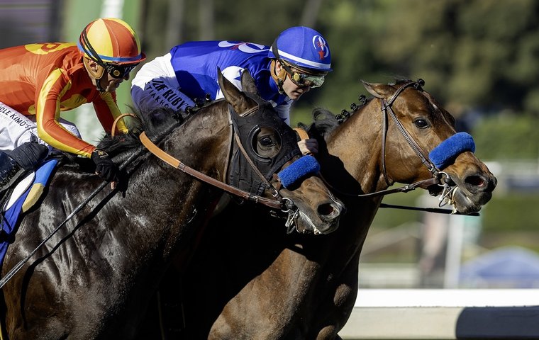 Saudi Cup likely for Nysos after Breeders’ Cup winner hits world top ten with another gutsy display